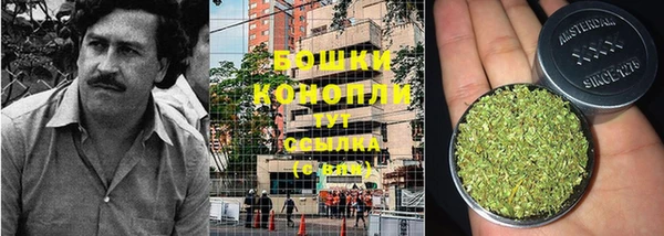 ешки Бородино