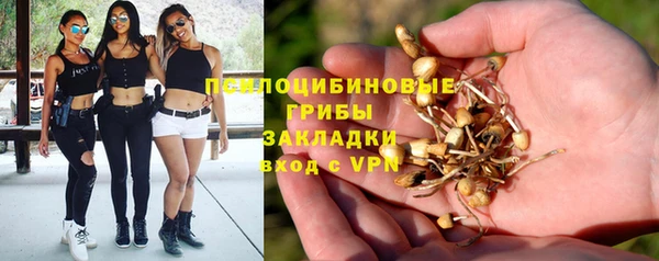 гидра Бугульма