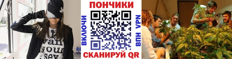 Купить где  Моршанск  Конопля гибрид 